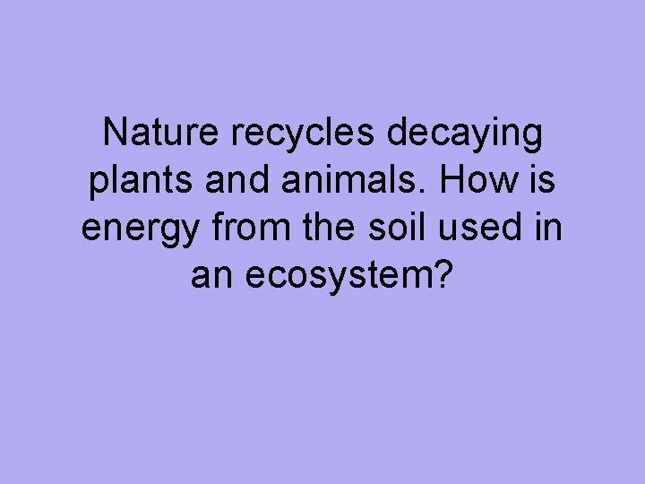 Nature recycles decaying plants and animals. How is energy from the soil used in