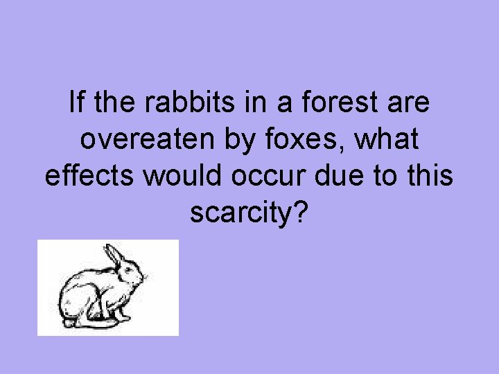 If the rabbits in a forest are overeaten by foxes, what effects would occur