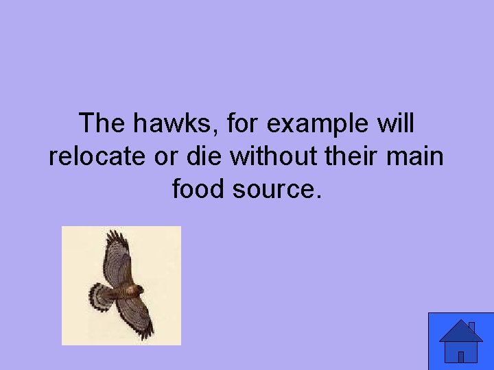 The hawks, for example will relocate or die without their main food source. 