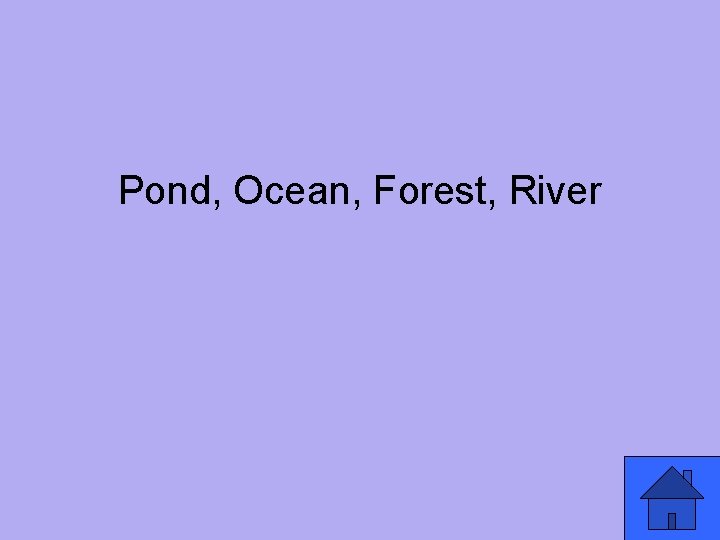 Pond, Ocean, Forest, River 