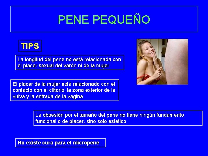 PENE PEQUEÑO TIPS La longitud del pene no está relacionada con el placer sexual