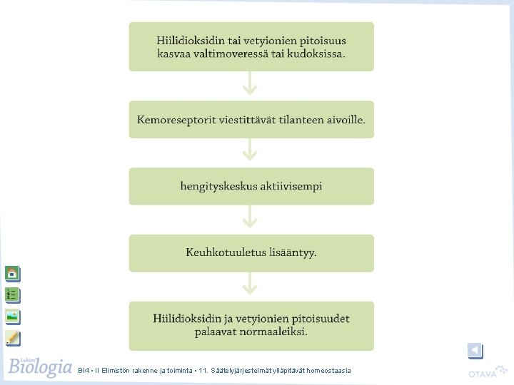 BI 4 • II Elimistön rakenne ja toiminta • 11. Säätelyjärjestelmät ylläpitävät homeostaasia 