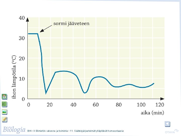 BI 4 • II Elimistön rakenne ja toiminta • 11. Säätelyjärjestelmät ylläpitävät homeostaasia 