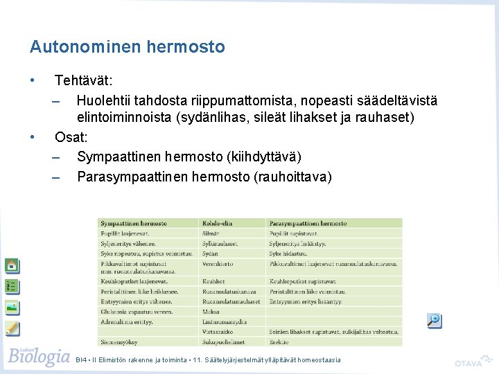 Autonominen hermosto • • Tehtävät: – Huolehtii tahdosta riippumattomista, nopeasti säädeltävistä elintoiminnoista (sydänlihas, sileät