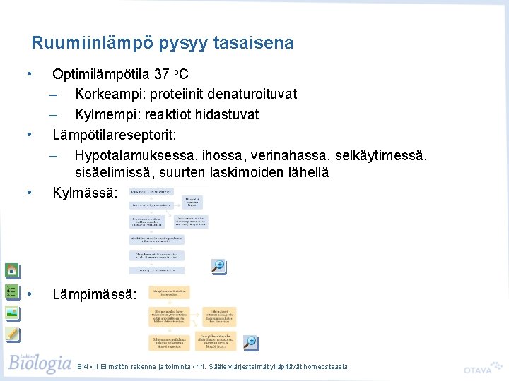 Ruumiinlämpö pysyy tasaisena • • Optimilämpötila 37 o. C – Korkeampi: proteiinit denaturoituvat –