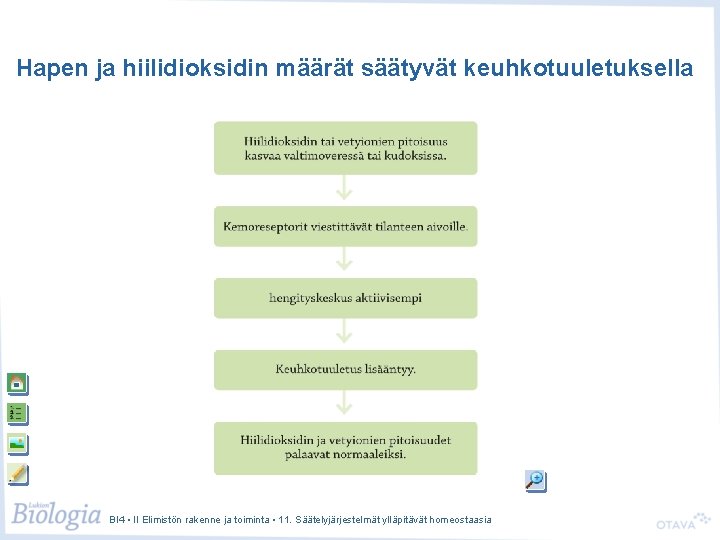 Hapen ja hiilidioksidin määrät säätyvät keuhkotuuletuksella BI 4 • II Elimistön rakenne ja toiminta