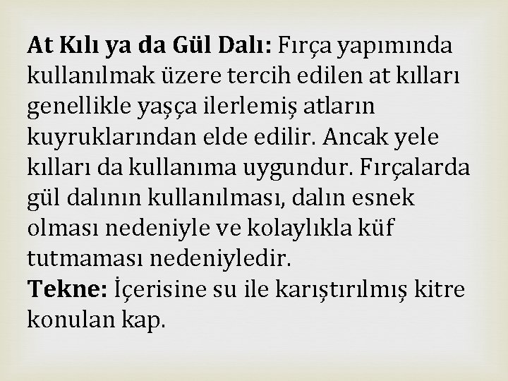 At Kılı ya da Gül Dalı: Fırça yapımında kullanılmak üzere tercih edilen at kılları