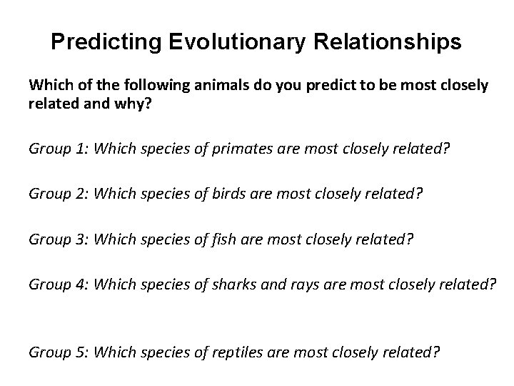 Predicting Evolutionary Relationships Which of the following animals do you predict to be most
