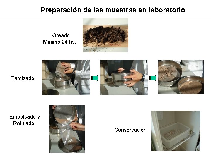 Preparación de las muestras en laboratorio Oreado Mínimo 24 hs. Tamizado Embolsado y Rotulado