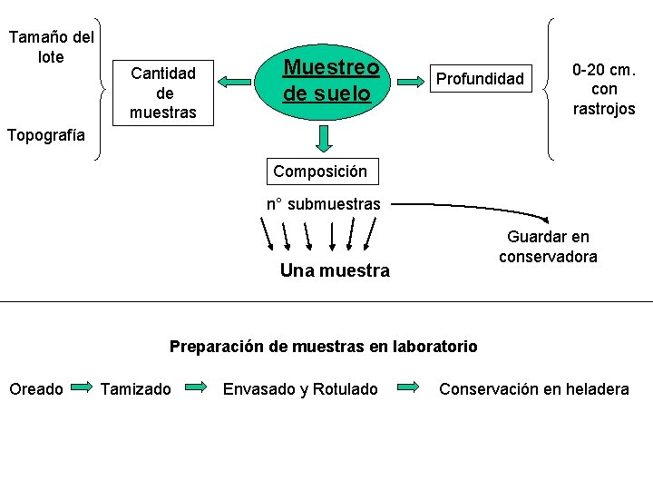 Tamaño del lote Cantidad de muestras Muestreo de suelo Profundidad 0 -20 cm. con
