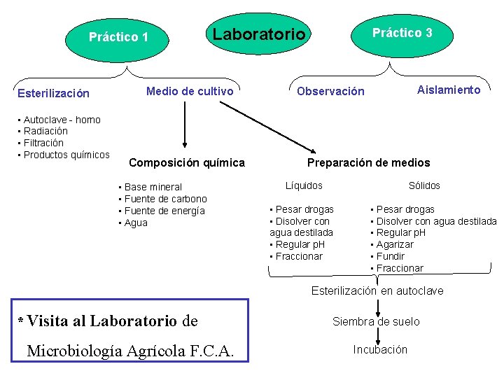 Práctico 1 Esterilización • Autoclave - horno • Radiación • Filtración • Productos químicos