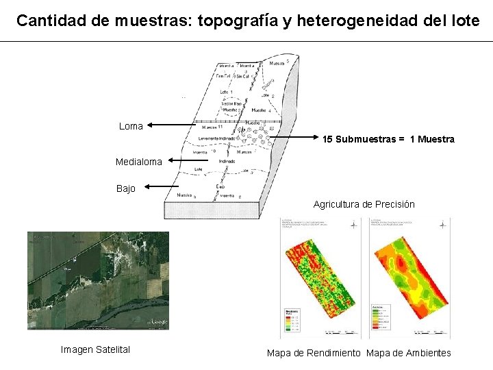 Cantidad de muestras: topografía y heterogeneidad del lote Loma 15 Submuestras = 1 Muestra