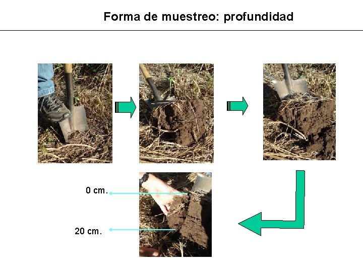 Forma de muestreo: profundidad 0 cm. 20 cm. 