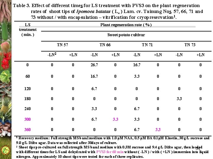 Table 3. Effect of different times for LS treatment with PVS 3 on the