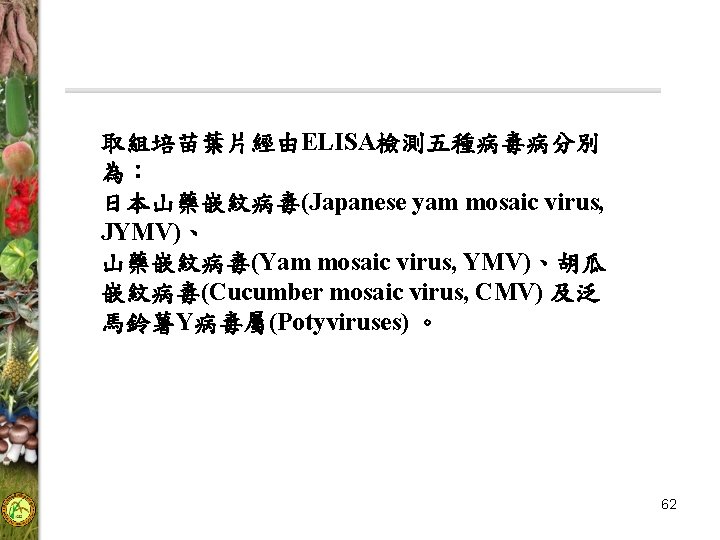 取組培苗葉片經由ELISA檢測五種病毒病分別 為： 日本山藥嵌紋病毒(Japanese yam mosaic virus, JYMV)、 山藥嵌紋病毒(Yam mosaic virus, YMV)、胡瓜 嵌紋病毒(Cucumber mosaic virus,