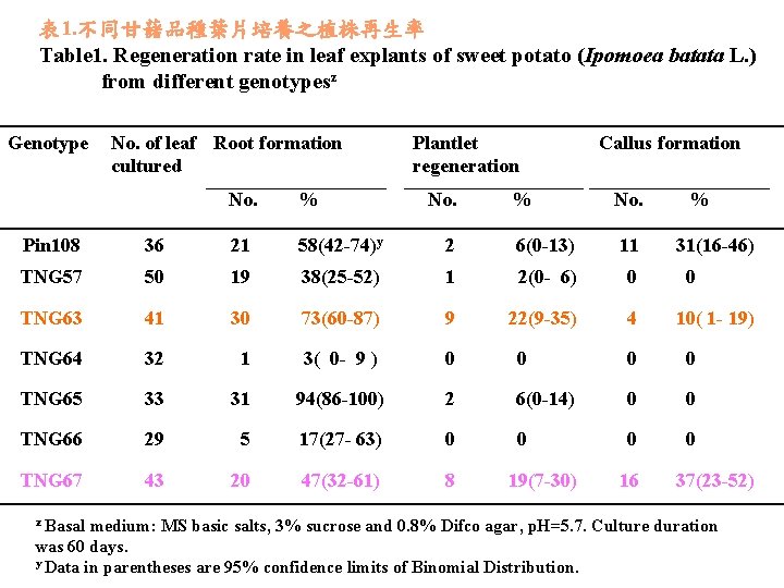 表 1. 不同甘藷品種葉片培養之植株再生率 Table 1. Regeneration rate in leaf explants of sweet potato (Ipomoea