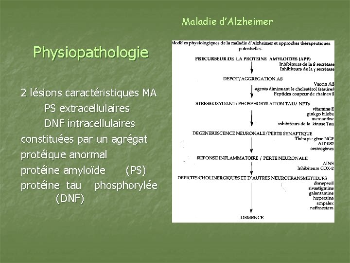 Maladie d’Alzheimer Physiopathologie 2 lésions caractéristiques MA PS extracellulaires DNF intracellulaires constituées par un