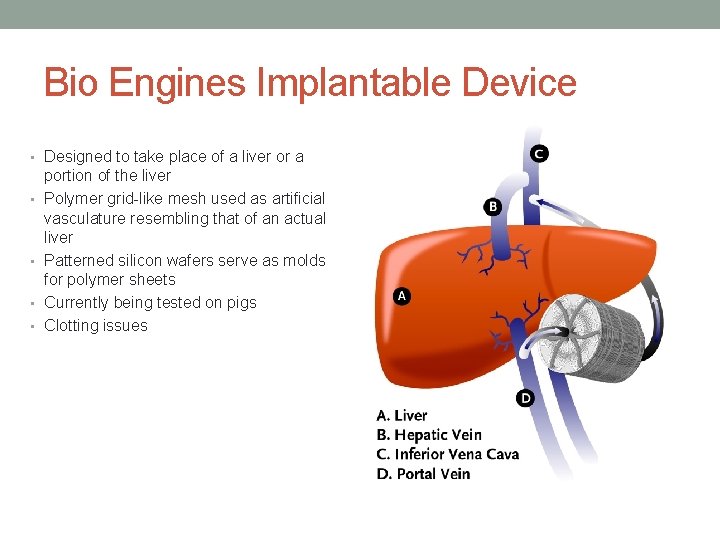 Bio Engines Implantable Device • Designed to take place of a liver or a