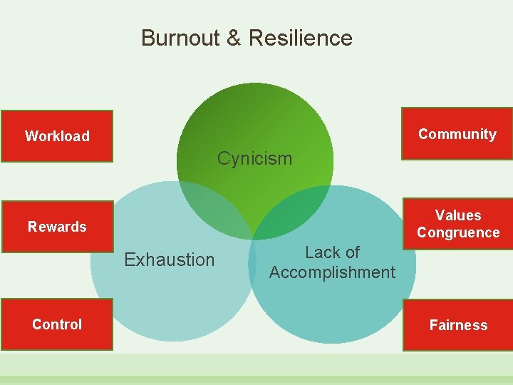 Burnout & Resilience Community Workload Cynicism Values Congruence Rewards Exhaustion Control Lack of Accomplishment