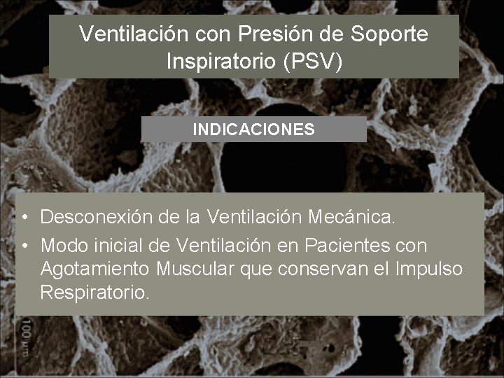 Ventilación con Presión de Soporte Inspiratorio (PSV) INDICACIONES • Desconexión de la Ventilación Mecánica.