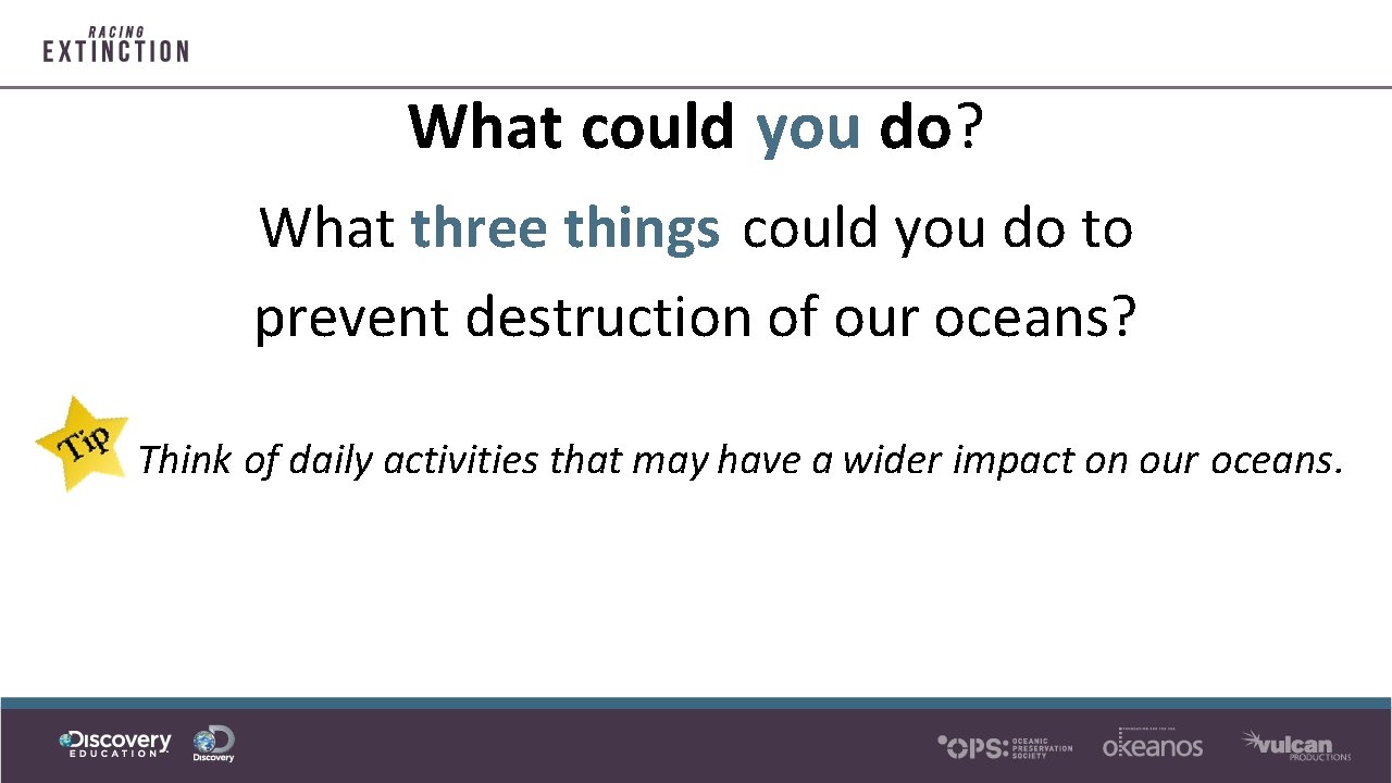 What could you do? What three things could you do to prevent destruction of