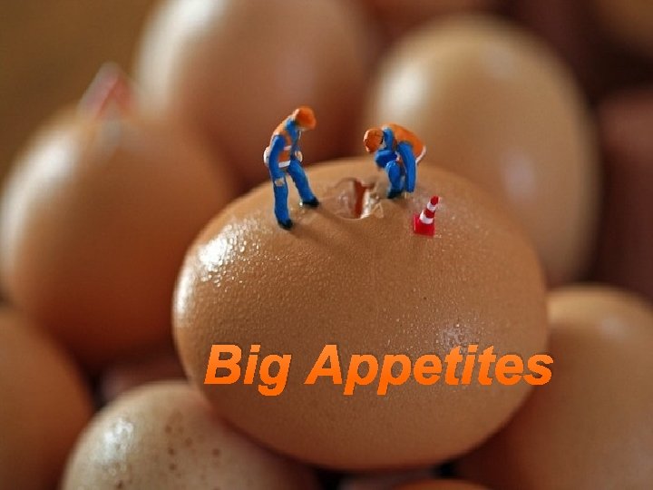 Big Appetites 
