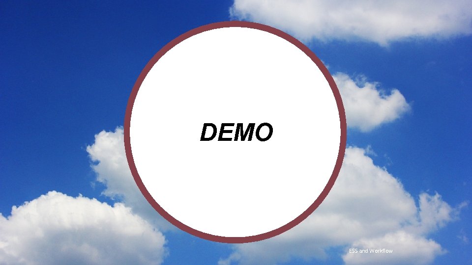 DEMO t ESS and Workflow  DEMO t ESS and Workflow