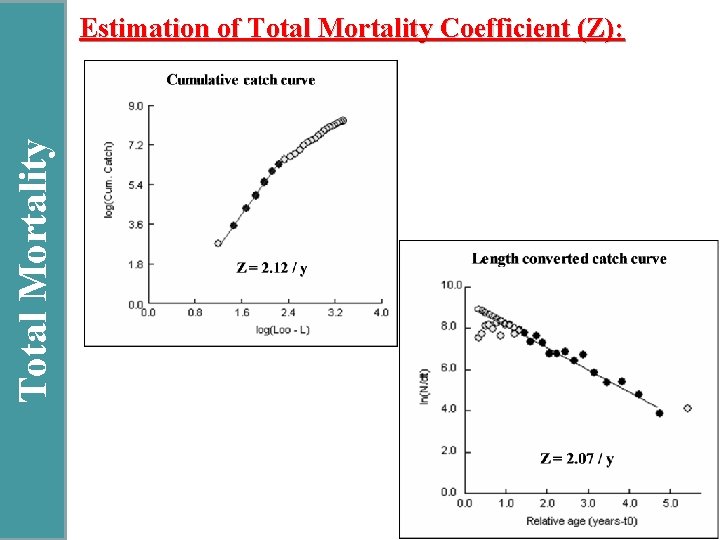 Total Mortality Estimation of Total Mortality Coefficient (Z): 