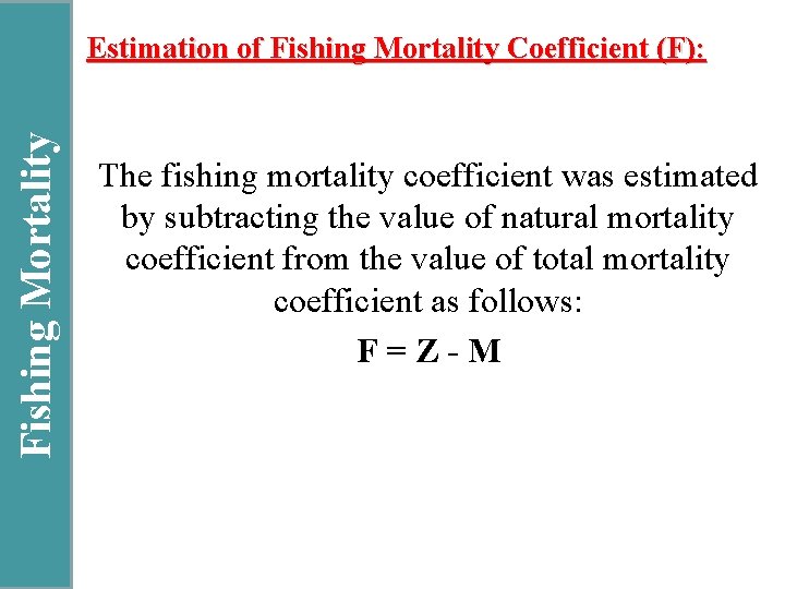 Fishing Mortality Estimation of Fishing Mortality Coefficient (F): The fishing mortality coefficient was estimated