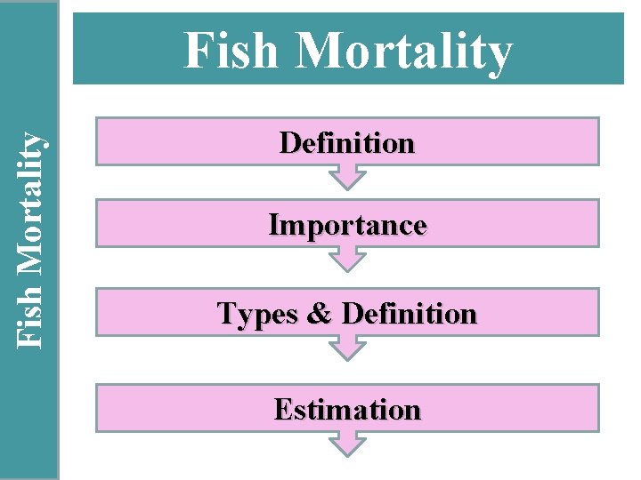 Fish Mortality Definition Importance Types & Definition Estimation 
