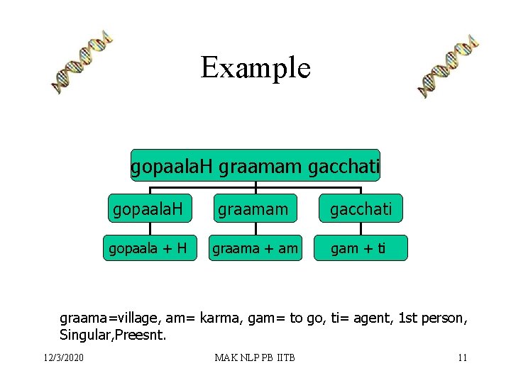 Example gopaala. H graamam gacchati gopaala + H graama + am gam + ti