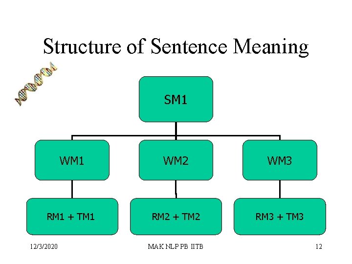 Structure of Sentence Meaning SM 1 WM 2 WM 3 RM 1 + TM