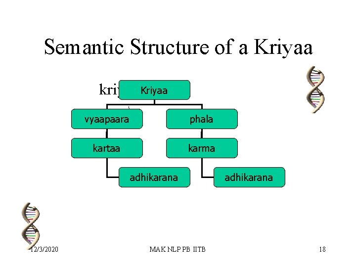 Semantic Structure of a Kriyaa kriyaa Kriyaa  vyaapaara kartaa phala karma adhikarana 12/3/2020