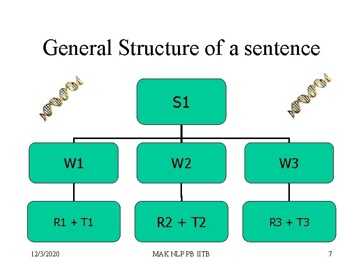 General Structure of a sentence S 1 W 2 W 3 R 1 +