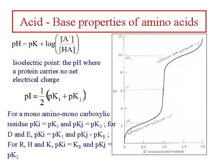 Acid - Base properties of amino acids Isoelectric point: the p. H where a
