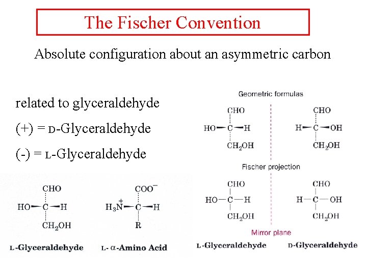 The Fischer Convention Absolute configuration about an asymmetric carbon related to glyceraldehyde (+) =