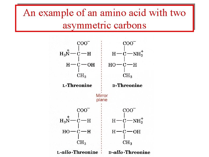 An example of an amino acid with two asymmetric carbons 