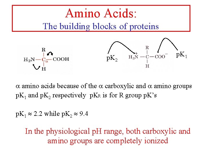 Amino Acids: The building blocks of proteins p. K 2 p. K 1 a