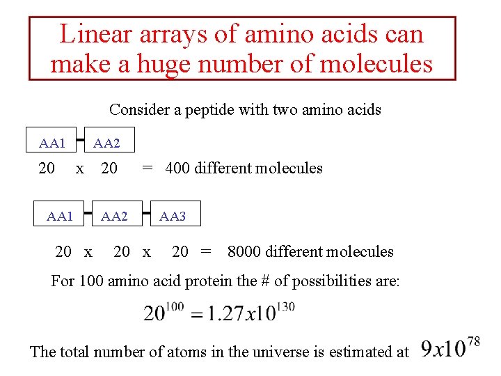 Linear arrays of amino acids can make a huge number of molecules Consider a