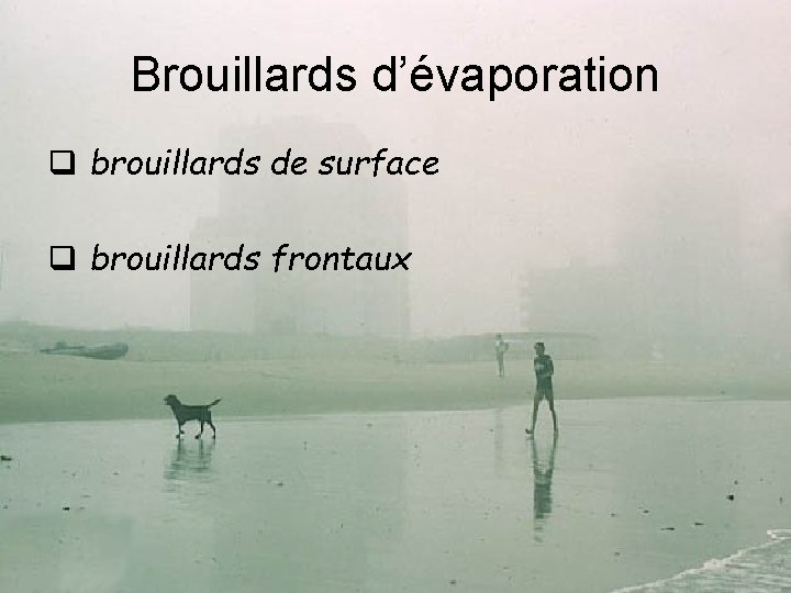 Brouillards d’évaporation brouillards de surface brouillards frontaux 