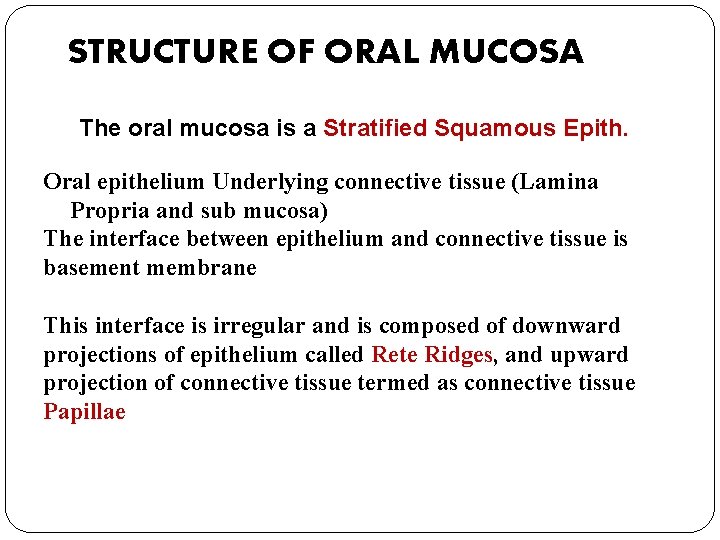 STRUCTURE OF ORAL MUCOSA The oral mucosa is a Stratified Squamous Epith. Oral epithelium