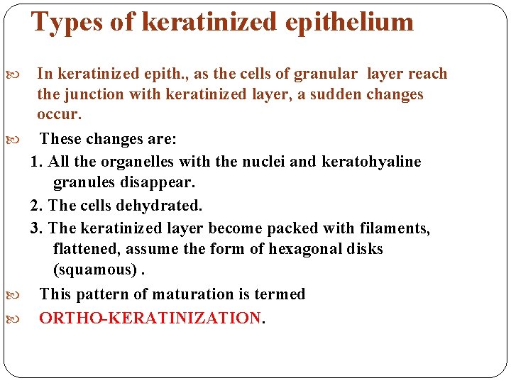 Types of keratinized epithelium In keratinized epith. , as the cells of granular layer