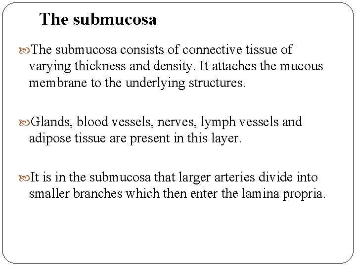 The submucosa consists of connective tissue of varying thickness and density. It attaches the