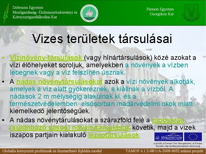 Vizes területek társulásai • Vízinövény-társulások (vagy hínártársulások) közé azokat a vízi élőhelyeket soroljuk, amelyekben