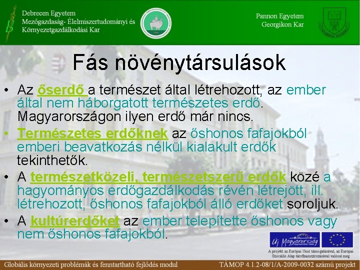 Fás növénytársulások • Az őserdő a természet által létrehozott, az ember által nem háborgatott