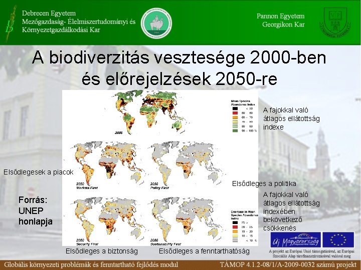 A biodiverzitás vesztesége 2000 -ben és előrejelzések 2050 -re A fajokkal való átlagos ellátottság