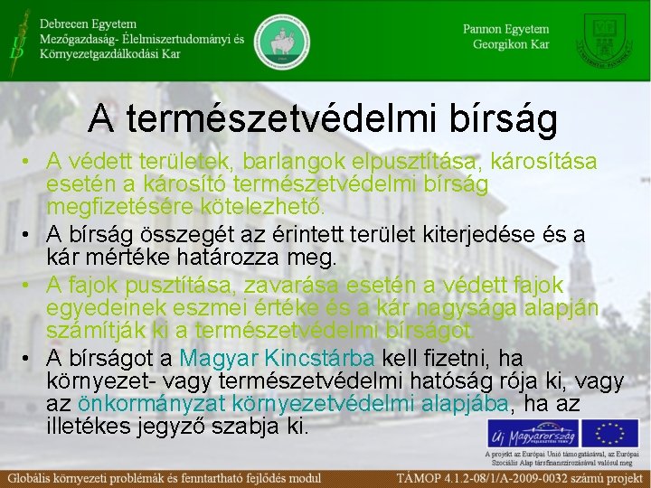 A természetvédelmi bírság • A védett területek, barlangok elpusztítása, károsítása esetén a károsító természetvédelmi