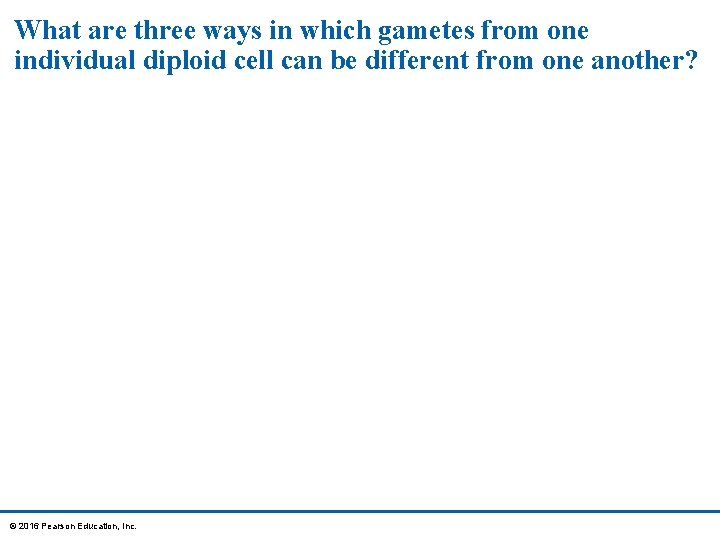 What are three ways in which gametes from one individual diploid cell can be