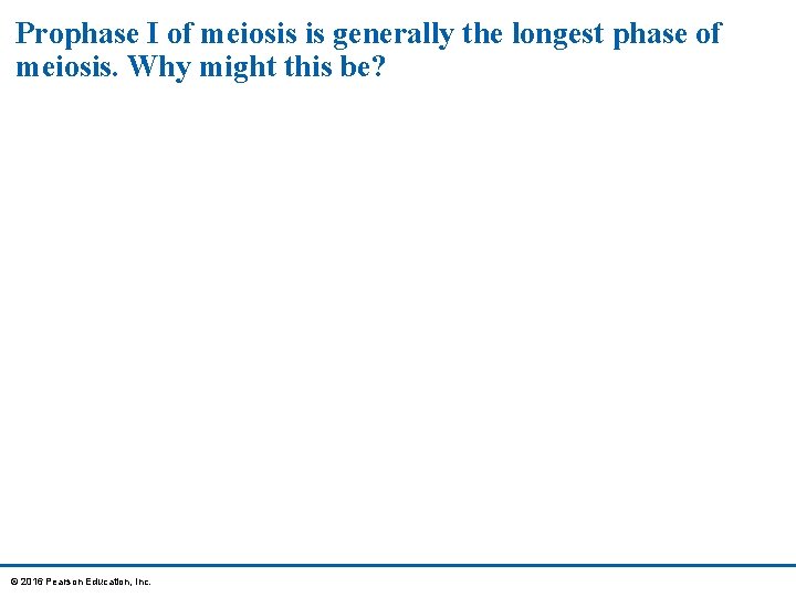 Prophase I of meiosis is generally the longest phase of meiosis. Why might this