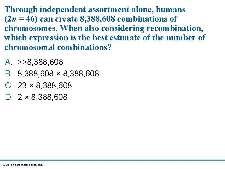 Through independent assortment alone, humans (2 n = 46) can create 8, 388, 608